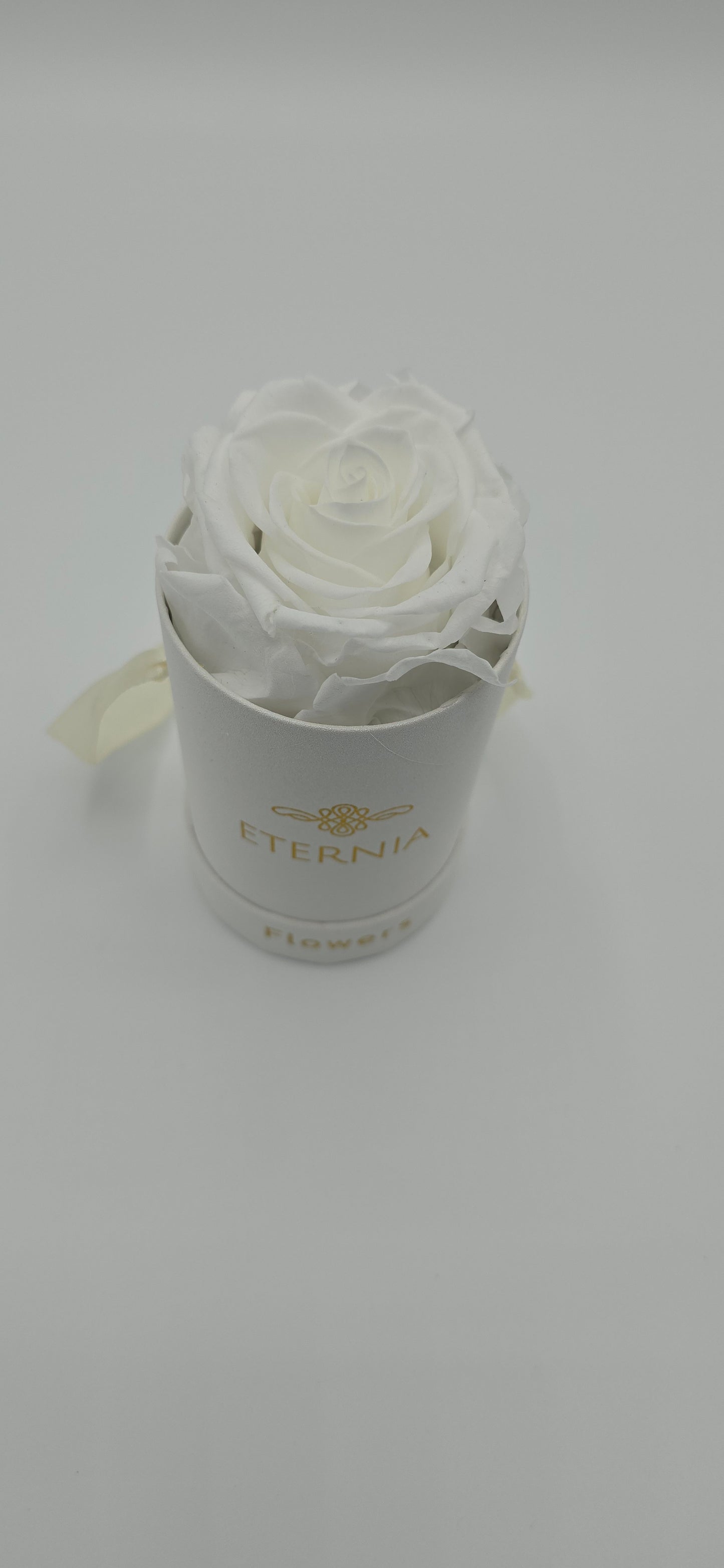 Boite ronde classique | 1 rose éternelle blanche