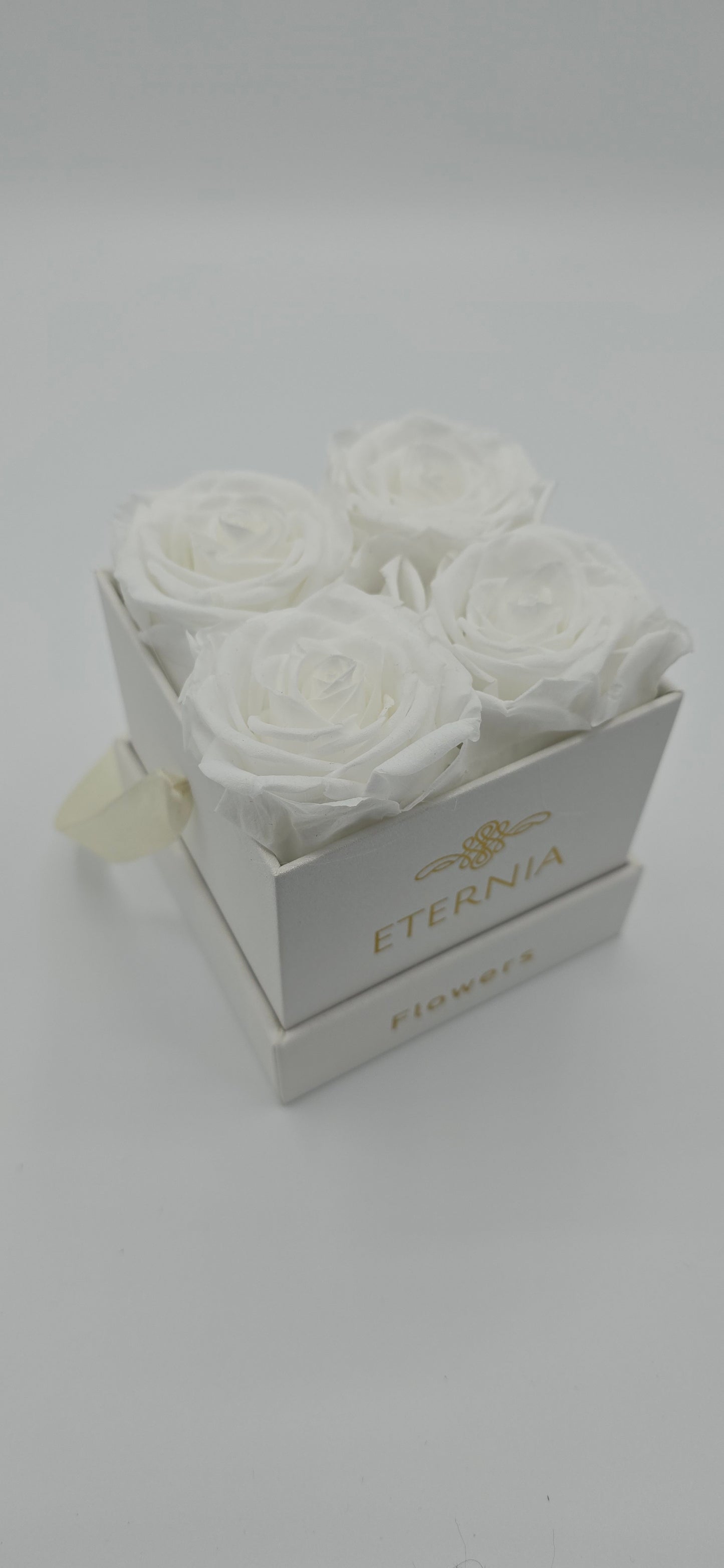 Boite carrée classique | 4 roses éternelles blanches