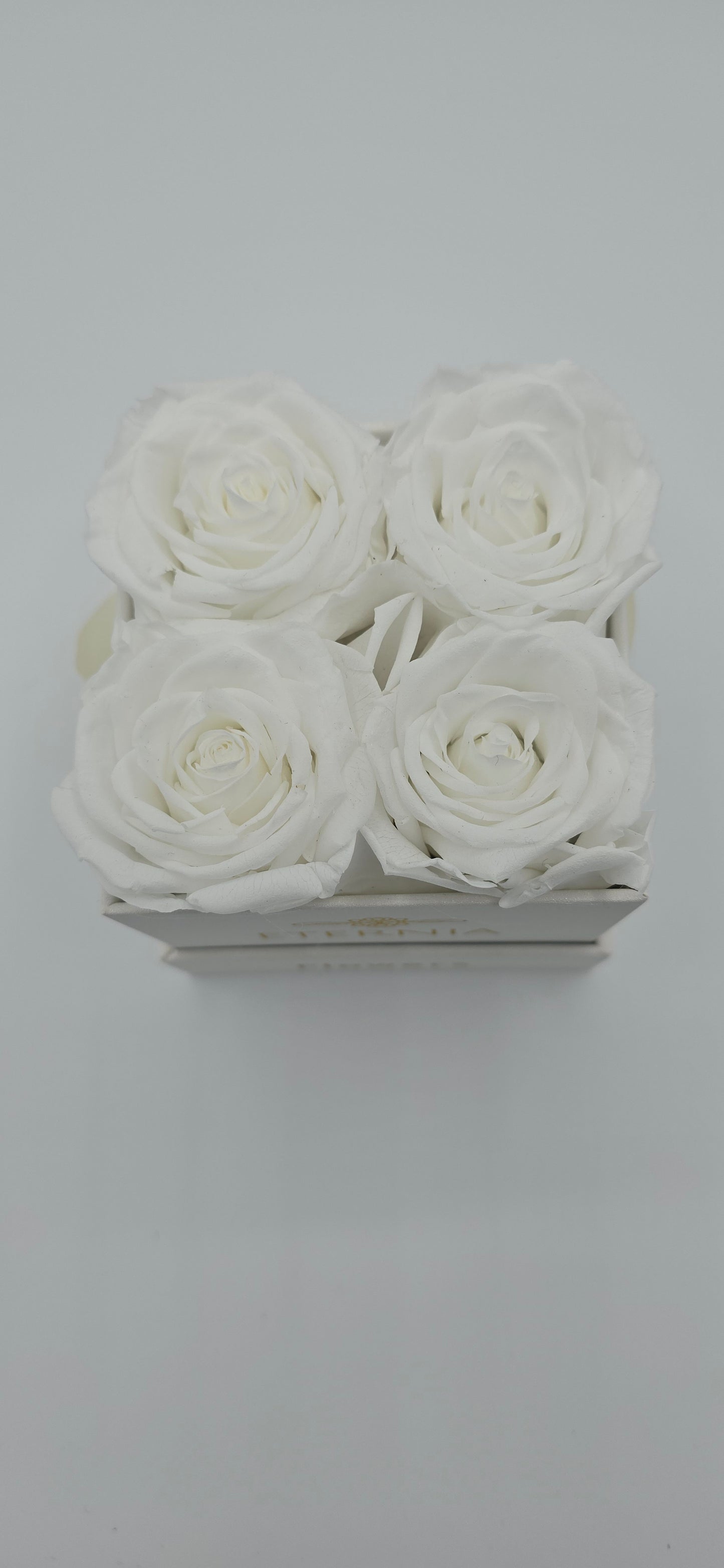 Boite carrée classique | 4 roses éternelles blanches