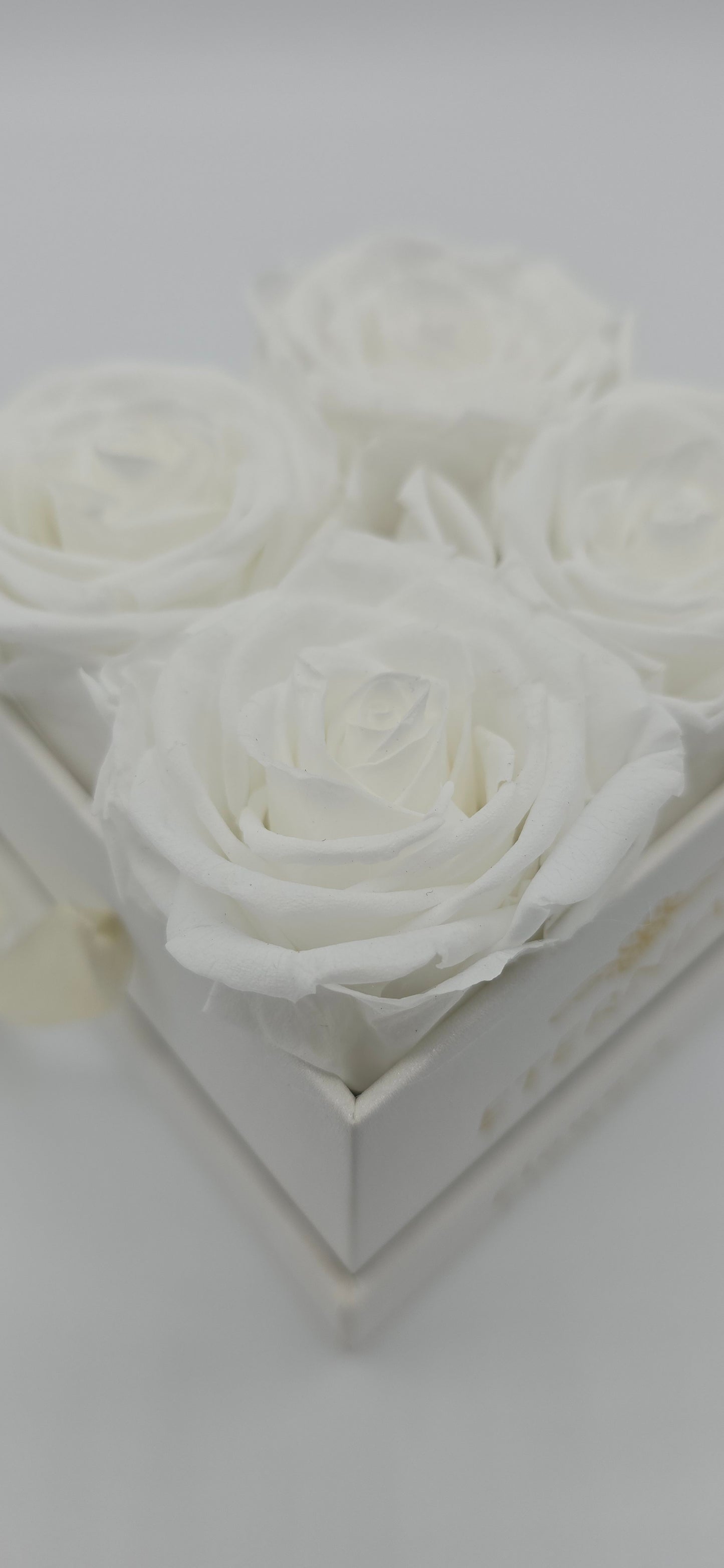 Boite carrée classique | 4 roses éternelles blanches