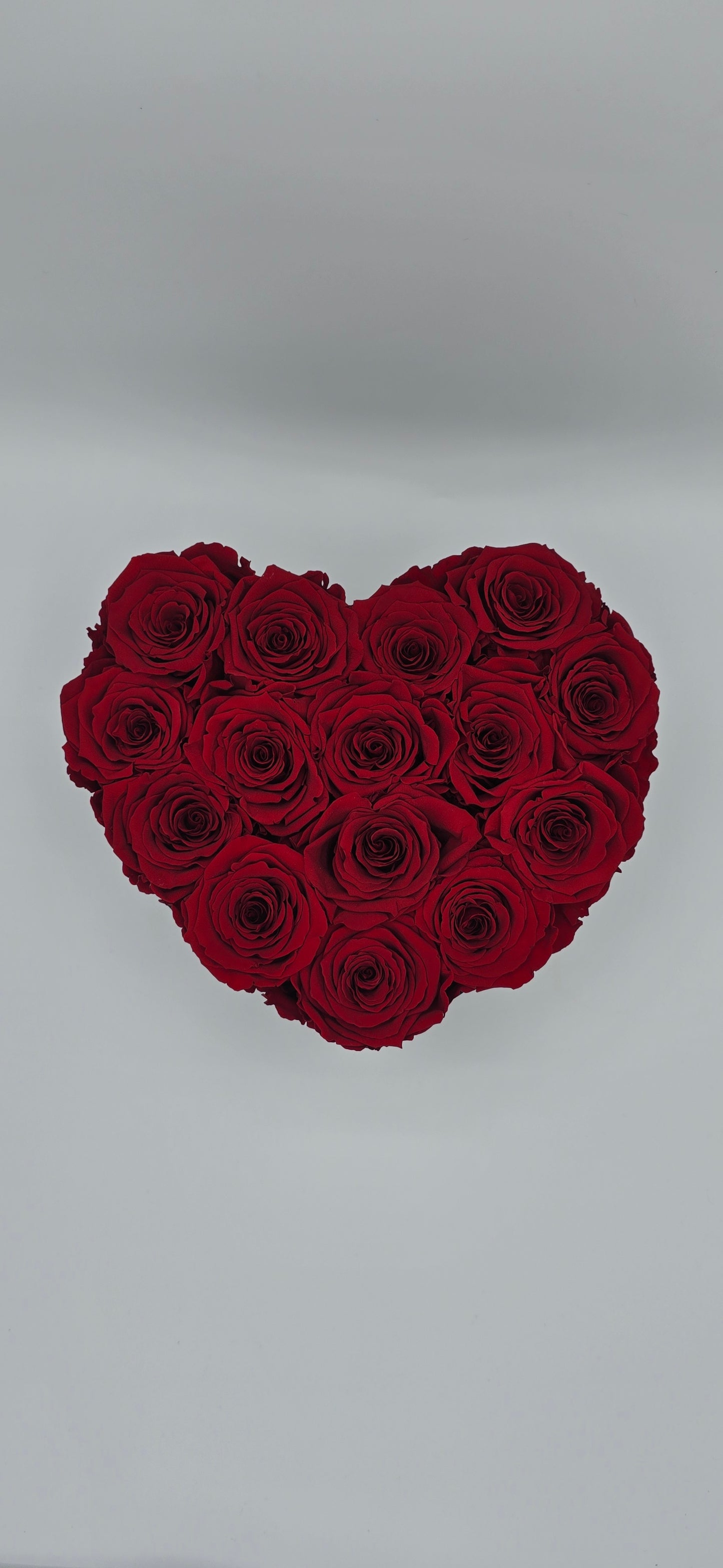 Boite noire luxe / Coeur / 14 à 16 roses rouges