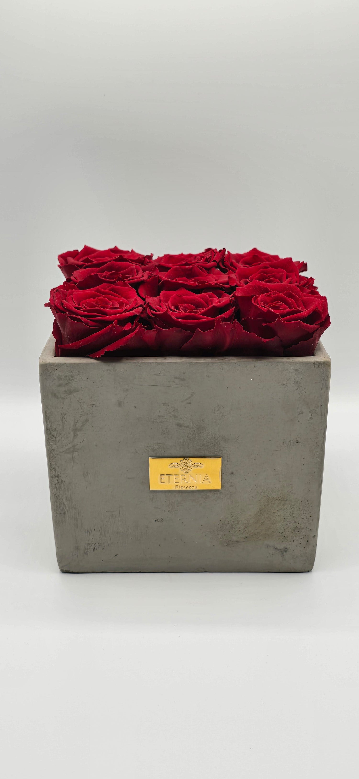 Pot terre cuite luxe | 9 roses éternelles