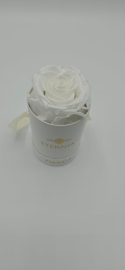 Boite ronde classique  |  1 rose éternelle blanche