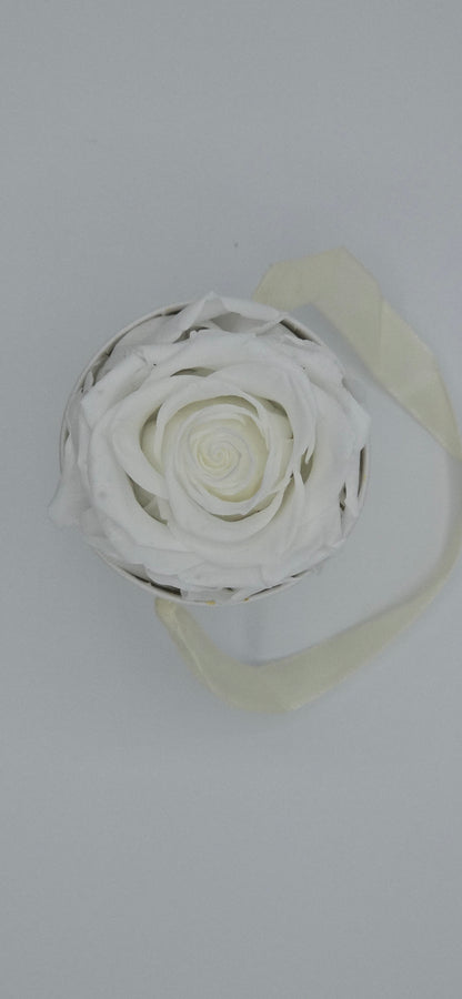 Boite ronde classique  |  1 rose éternelle blanche