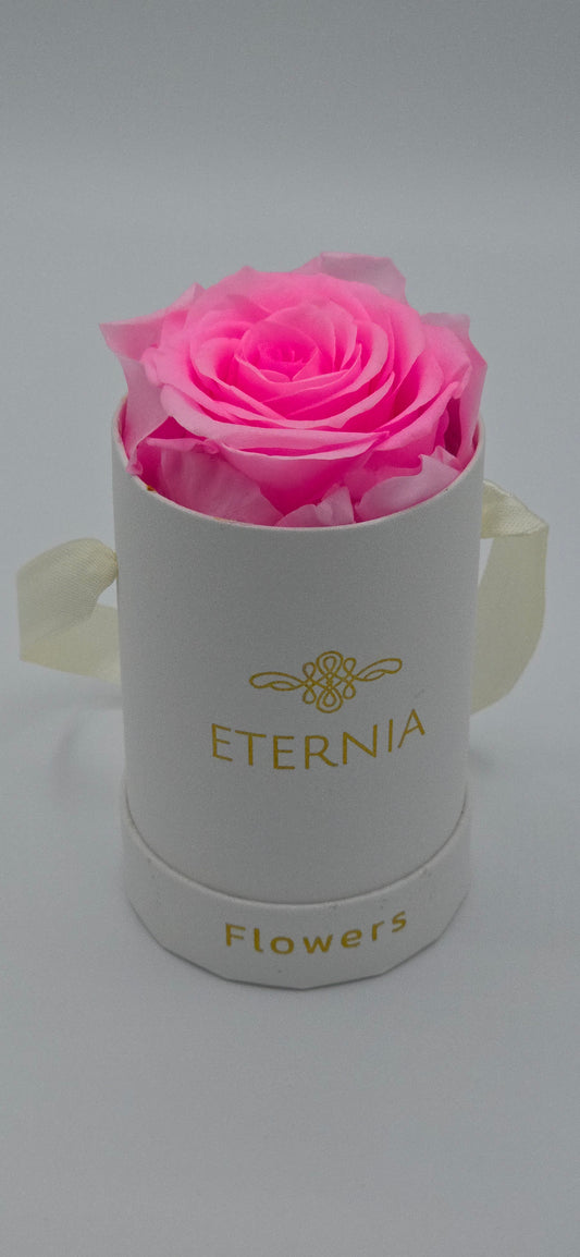 Boite ronde classique  |  1 rose éternelle rose