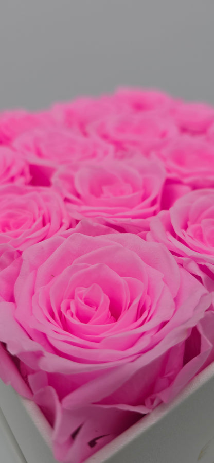 Boite carrée classique   |  16 roses éternelles roses