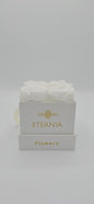 Boite carrée classique  |  4 roses éternelles blanches
