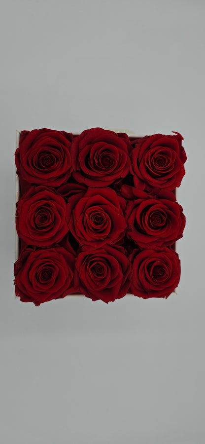 Boite carrée classique  |  9 roses éternelles rouges