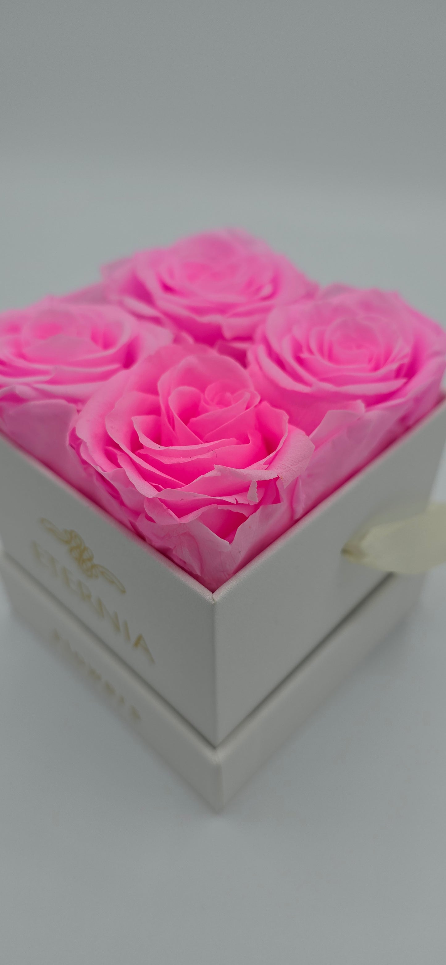 Boite carrée classique  |  4 roses éternelles roses