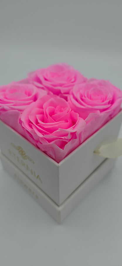 Boite carrée classique  |  4 roses éternelles roses