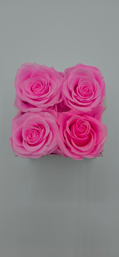 Boite carrée classique  |  4 roses éternelles roses